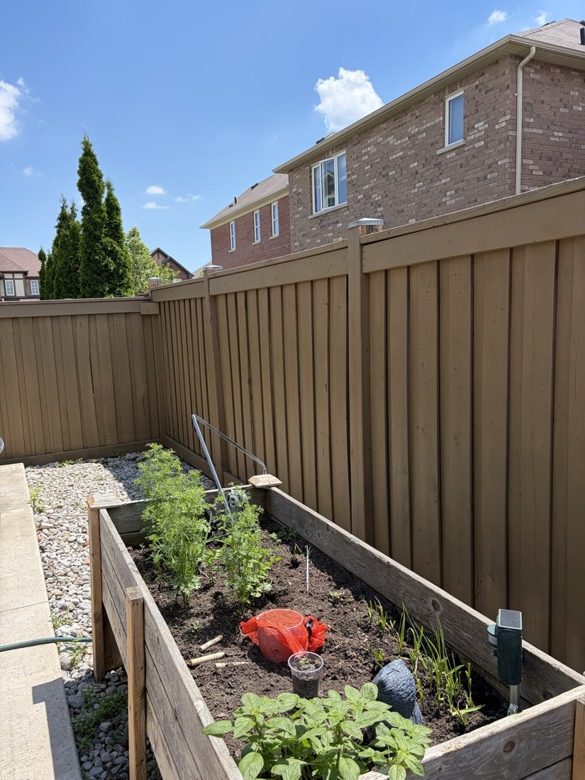 Freshly brown-stained backyard fence after TrueCoat Painting service