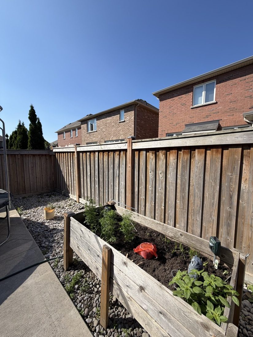 Weathered, faded grey backyard fence before staining by TrueCoat Painting in Brampton